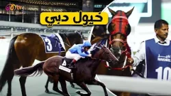أقوى تجربة في سباق الخيول في دبي ???| Drop The Pin