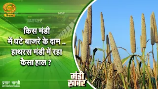 Mandi News: In which market did millet prices fall... How was the situation in Hathras market? | ...