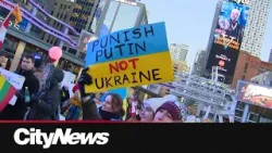 Pro-Ukrainian rally in wake of tense White House meeting