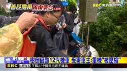 【薔琵颱風】最新》約5層樓高樹倒！砸汽機車 特斯拉遭砸破玻璃@newsebc
