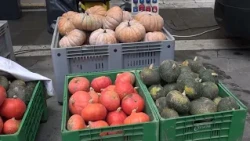 Coldiretti, Campagna Amica's farm-to-table products take center stage in Piazza San Jacopo