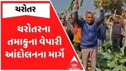 Charotar News | ચરોતરના તમાકુના વેપારી આંદોલનના માર્ગે, જુઓ શું છે આખો મામલો?