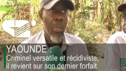 YAOUNDE : Criminel versatile et récidiviste, il revient sur son dernier forfait YAOUNDE : Criminel versatile et récidiviste, il revient sur son dernier forfait