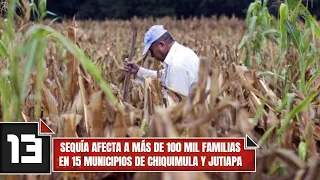 Drought affects over 100,000 families in 15 municipalities of Chiquimula and Jutiapa