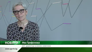 ВИНОПРОИЗВОДСТВО: Защо продължава уличната продажба в пластмасови бутилки