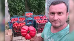 Viaţa satului: ediţia din 8 martie 2026 (@TVR1)