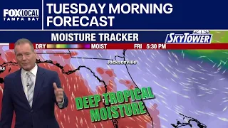 Tampa weather | Tuesday morning forecast