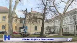 Eltávolítják a fészkeket – ZTV Híradó 2026-02-23