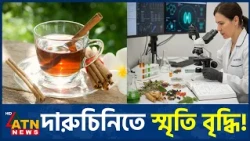 স্মৃতি বাড়াতে দারুচিনির ভূমিকা নিয়ে গবেষণা | Cinnamon Benefits | Brain Health | ATN News