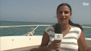 Between boats adorning the harbor waters and a growing interest in water sports, the Blue Pearl i...