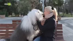 Канистерапия с кауза: кучетата, които помагат за нова детска болница в Пловдив - "Време за губене"