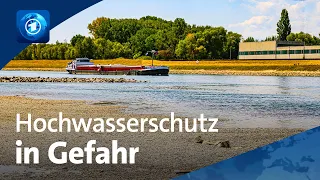 Gravierende Folgen aktueller Hitzeperioden: Rheinauen vielerorts trockengelegt