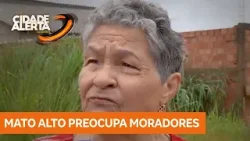 Terreno baldio causa transtornos na Zona Sul