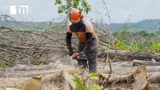 ¿Cómo se produce, maneja y exporta responsablemente la madera nicaragüense?
