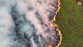 Die Folgen sommerlicher Hitzewellen | KlimaZeit vom 11.09.2026