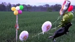 Ballons und Süßigkeiten sollen vermissten Arian locken - Kamera zeichnet Verschwinden auf | ntv