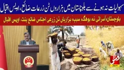 Agricultural produce is wasted due to lack of facilities in Balochistan, Owais Iqbal | Vsh News