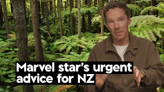 Hollywood A-lister Benedict Cumberbatch praises NZ's greatest 'gift' | TVNZ+