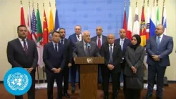 The Arab Group on the Israel/Palestine Crisis | UN Security Council