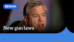 Mental health clinicians to flag ‘high-risk’ patients in gun licence crackdown | ABC NEWS