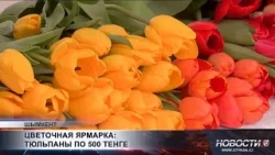 В Шымкенте проходит праздничная цветочная ярмарка