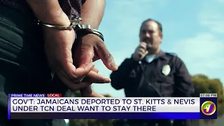 Gov't: Jamaicans Deported to St Kitts & Nevis Under TCN Deal Want to Stay There | TVJ News