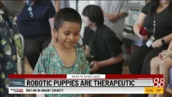 Health Spotlight: Robotic puppies are therapeutic