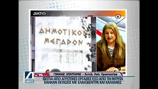 Από αγροτικές εργασίες η φωτιά στη Νιγρίτα - Τέθηκε γρήγορα υπό έλεγχο