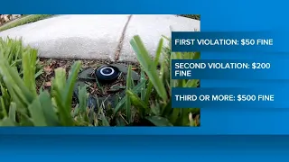 Lakeland city leaders to take up stricter enforcement of watering restrictions