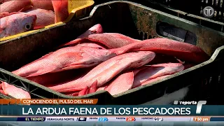 Taking the Pulse of the Sea: The Arduous Toil of Fishermen