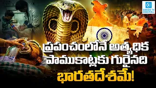 India’s Snake Bite Crisis: Over 50,000 Deaths Every Year | The Deadly ‘Big Four’ Snakes