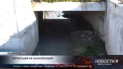 Ирригационные каналы Шымкента страдают от незаконного слива сточных вод