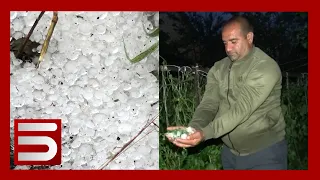 Բերքից բան չի մնացել. երկնքից թափված աղետ՝ Գյուլագարակում