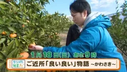 かながわ旬菜ナビ　次回予告（1月18日放送）