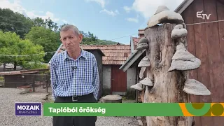 Taplóból örökség – Mozaik