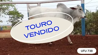 TOURO UFU 738