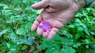 Discover, love, protect. Ślepiotka Valley