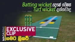 YOUTUBE MAGAZINE Gamata Cricket 02