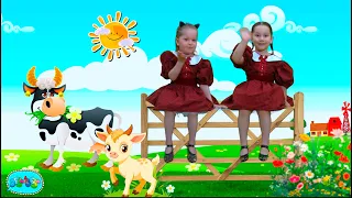 ცხოველების მეგობრობა - Enki-Benki