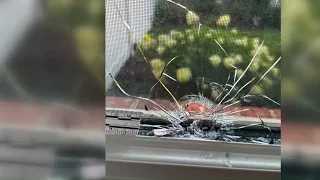 Gunshots in New London disturb community members