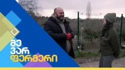 ნატანების ქათმის სამყარო | მე ვარ ფერმერი | 17.02.2026