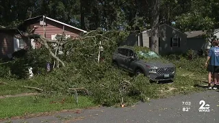 Strong storm topples tree into bedroom, narrowly missing woman inside