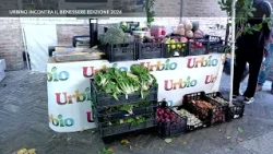 Roto TVRS "Urbino Meets Wellness" 2026