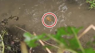 Frustreret nabo filmer LORT, der flyder direkte ud i vandløb