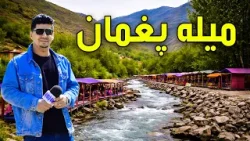 Suzha: Pagman picnic / سوژه: میله پغمان Suzha: Pagman picnic / سوژه: میله پغمان