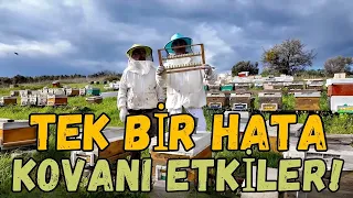 A Single Mistake Affects the Hive!