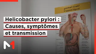 Causes, symptômes et transmission de l'Helicobacter pylori ou bactérie de l'estomac