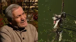 Lumenjtë e ndotur, piktori Kupa kujton kohën kur pastërtia i karakterizonte lumenjtë e Gjakovës Lumenjtë e ndotur, piktori Kupa kujton kohën kur pastërtia i karakterizonte lumenjtë e Gjakovës