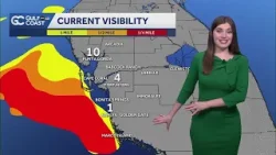 Sea fog lingers ahead of midday rain chances
