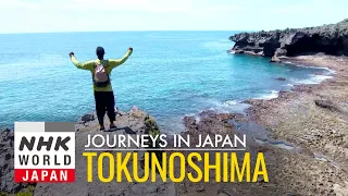 Tokunoshima: Bull Sumo on Subtropical Island - Journeys in Japan